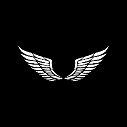 Fotonášivka WINGS - Krídla