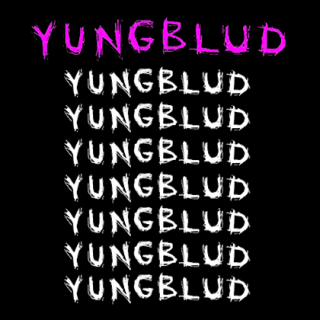 Fotonášivka YUNGBLUD - Multilogos