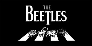 BEETLES - široká chrbtová nášivka s rozmerom 33 x 15 cm