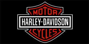 HARLEY DAVIDSON - Red Crest Logo Motive 2 - široká chrbtová nášivka s rozmerom 33 x 15 cm