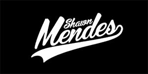 SHAWN MENDES - Logo - široká chrbtová nášivka s rozmerom 33 x 15 cm