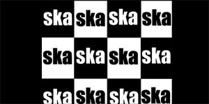 SKA - Šachovnica - široká chrbtová nášivka s rozmerom 33 x 15 cm