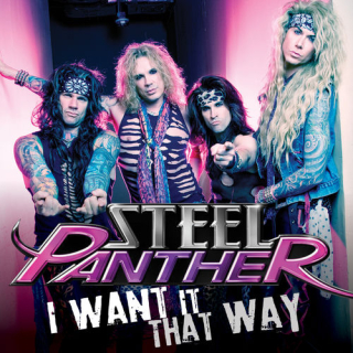 Fotonášivka STEEL PANTHER - I Want It That Way