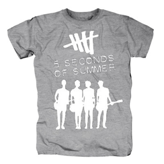 5 SECONDS OF SUMMER - Logo & Band - sivé pánske tričko