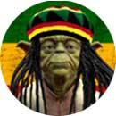 RASTA Majster YODA - odznak