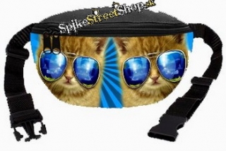 Ľadvinka CAT COLLECTION - Blue Glasses Cat