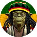 RASTA MAJSTER YODA - okrúhla podložka pod pohár