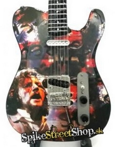 Gitara PEARL JAM - TRIBUTE - Mini Guitar USA