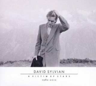 SYLVIAN DAVID - A Victim Of Stars 1982-2012 (2cd)