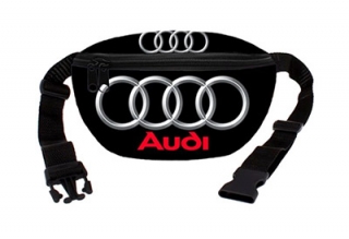 Ľadvinka AUDI - Logo