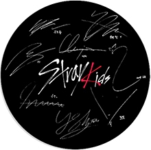STRAY KIDS - Logo With Signature - odznak